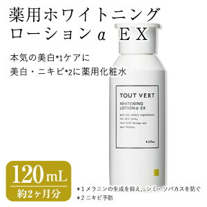 yӂ邳Ɣ[ŁzpzCgjO[V EX(120mL) ϐ ێ[V CI p[V pϐ  pϐ ϕi XLPA RX e TOUT VERT ym83-04
