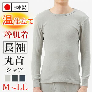 yӂ邳Ɣ[ŁzԌ聄IׂTCY/3J[dĒێVc(1/M`LL/O[E`R[ElCr[) {  YCi[   h ۉ zM 