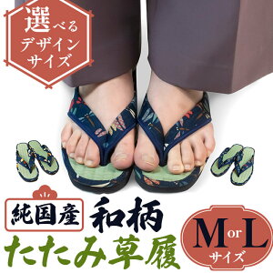 yӂ邳Ɣ[ŁzIׂTCYEfUCY aݑ(MTCY/LTCYE3fUC)  a {  El ɂ EVA r y aT_ `H| JW