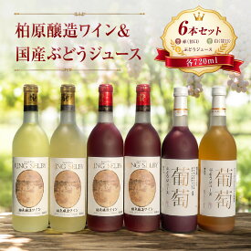 【ふるさと納税】ワイン 柏原醸造ワイン 赤 白 甘口 ぶどうジュース 合計 6本 セット | 酒 お酒 赤ワイン 白ワイン 国産 アルコール お楽しみ 詰め合わせ カタシモワインフード株式会社 大阪府 柏原市