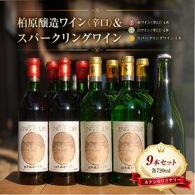 【ふるさと納税】ワイン 柏原醸造ワイン 赤 白 辛口 スパークリングワイン 合計9本セット | スパークリング 酒 お酒 赤ワイン 白ワイン 国産 アルコール 飲み比べ 詰め合わせ カタシモワイナリー カタシモワインフード株式会社 大阪府 柏原市