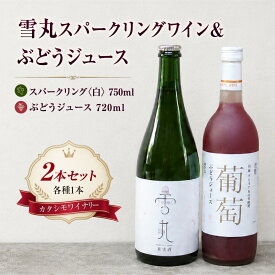 【ふるさと納税】ワイン 雪丸スパークリング 国産ぶどうジュース セット | スパークリングワイン 酒 お酒国産 アルコール カタシモワイナリー カタシモワインフード株式会社 大阪府 柏原市
