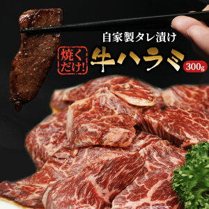 yӂ邳Ɣ[Łzn~ Ђ 300g     t ^ Ă ^pbN Ђ Ă ē o[xL[ AEghA Lv ٓ  Ⓚ n~  s 