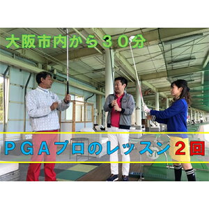 yӂ邳Ɣ[ŁzStXN[bXi2񕪁j Stꗘp PGAv S ㋉ XCO ݂Nu