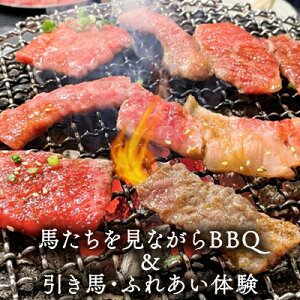 yӂ邳Ɣ[ŁznȂBBQ ̌`Pbg H  {ݗn an hNt ̂т 