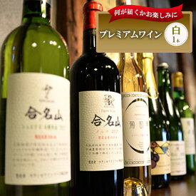 【ふるさと納税】おまかせ 白辛口ワイン 1本 お楽しみ 酒 お酒 白ワイン 国産 アルコール