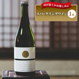 【ふるさと納税】おまかせ スパークリングワイン 1本 酒 お酒 国産 アルコール スパークリング