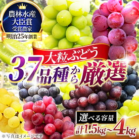 【ふるさと納税】≪選べるサイズ≫大粒品種詰め合わせ((シャインマスカット含む) 1.5 2.0 3.0 4.0サイズ　お届け：2026年7月下旬～8月上旬