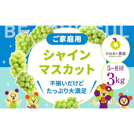 【ふるさと納税】＜2024年先行予約＞【家庭用】完熟シャインマスカット 3kg　【 果物 ぶどう フルーツ デザート 食後 おやつ 】　お届け：2024年8月下旬～2024年9月初旬