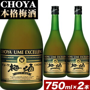 yӂ邳Ɣ[ŁzCHOYA {i~ EXCELLENT GNZg 750ml × 2{ Hg쏤HUЁs30ȓɏoח\(yj)t{ Hgs  ~ ~  CHOYA `[ `[~
