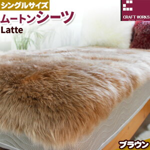 yӂ邳Ɣ[Łz[g V[c Latte Iׂ J[ AC{[ uE VOTCY 100 × 200cm LЃNtg[NX s30ȓɏoח\(yj)t{ Hgs Q C