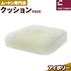 yӂ邳Ɣ[Łz[g vt NbV PAVE 40cm × 40cm 1 LЃNtg[NX s30ȓɏoח\(yj)t{ Hgs CeA r r NbV