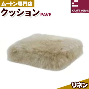 yӂ邳Ɣ[Łz[g vt NbV PAVE 40cm × 40cm 1 LЃNtg[NX s30ȓɏoח\(yj)t{ Hgs CeA r r NbV