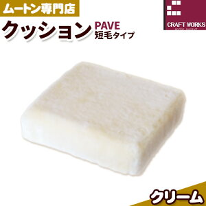 yӂ邳Ɣ[Łz[g vt NbV PAVE Zу^Cv 40cm × 40cm 1 IׂJ[ LЃNtg[NX s30ȓɏoח\(yj)t{ Hgs CeA r r 