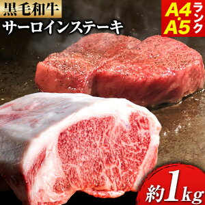 yӂ邳Ɣ[Łzјa T[CXe[L A4EA5N 1kg 250g×4  ɓc{Xs90ȓɏoח\(yj)t{ Hgs    Y јa T[C