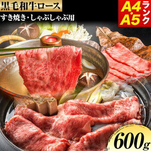 yӂ邳Ɣ[Łzјa [X Ă Ԃԗp A4EA5N 600g  ɓc{Xs90ȓɏoח\(yj)t{ Hgs    [X [X 