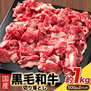 yӂ邳Ɣ[ŁzYјa؂藎Ƃ 1kg(500g×2) WiNs30ȓɏoח\(yj)t{ Hgs  јa a   Y ؂藎Ƃ ӂ邳Ɣ[ A4`A5