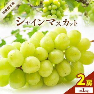 yӂ邳Ɣ[Łzy2026Ns\zVC}XJbg2[ (1kg) _s2026N8{-9{oׁt{ Hgs Ԃǂ ʕ t[c  }XJbg