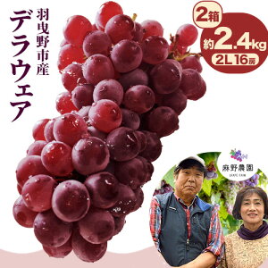 yӂ邳Ɣ[Łzys\zfEFA (ȂԂǂ) 2L TCY Iׂe 1.2kg 8[ (4pbN) 2.4kg 16[ (8pbN) _s2026N6{-7{oׁt{ Hgs 