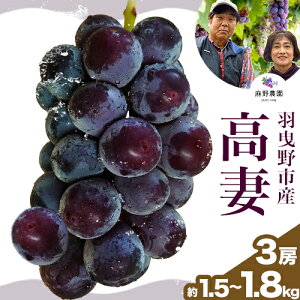yӂ邳Ɣ[Łzy2026Ns\z (ȂԂǂ) Iׂe _s2026N8{-{oׁt{ Hgs Ԃǂ ʕ t[c 