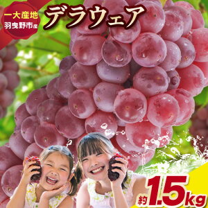 yӂ邳Ɣ[Łzy2026Noאs\zYn肨͂IfEFA Ԃǂ Iׂ 1.2kg or 1.5kg t[c ʕ HgsYs2026N7{-8{oׁt{ Hgs  
