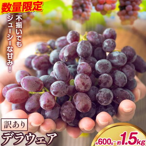 yӂ邳Ɣ[Łzy2026Ns\zfEFA Ԃǂ 󂠂 ƒp Iׂe 600g 1.2kg 1.5kgs2026N7{-8{oׁt{ Hgs  uhE  t[c 