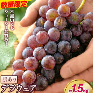 �y�ӂ邳�Ɣ[�Łz�y��s�\��z�f���E�F�A �Ԃǂ� �󂠂� ���ƒ�p �I�ׂ���e�� ��600g ��1.2kg ��1.5kg�s2026�N7����{-8����{���o�ׁt���{ �H�g��s �������� �u�h�E ���� �t���[�c �ʕ� �H