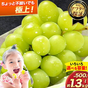 yӂ邳Ɣ[Łzsł͋ɏ! 󂠂 VC}XJbg500g or 650g or 1kg or 1.3kg Iׂ e s2026N8{-8{oׁt󂠂 VC }XJbg 킯 VC