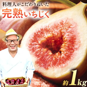 yӂ邳Ɣ[ŁzsD]ɂtItlʂ n1 1kg ^ ԉ C`WN h[tB ͂т_s2025N8{-10{oׁt{ Hg