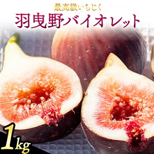 yӂ邳Ɣ[Łzy2026Ns\z HgoCIbg1kg 9 ` 12 _s2026N8{-9{ɏoח\(yj)t{ Hgs  ԉ t[c ʕ 