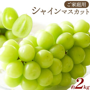 yӂ邳Ɣ[Łzs\ ƒp VC}XJbg Iׂe 1kg (3-5[) 2kg (6-10[) kԂǂ_s2026N8{-8{oׁt{ Hgs Ԃǂ }XJbg ʕ t[