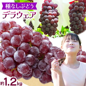 yӂ邳Ɣ[Łzy2026Ns\zfEFA 1.2kg (ȂԂǂ) kԂǂ_s2026N6{-8{oׁt{ Hgs Ԃǂ ʕ t[c  fU[g