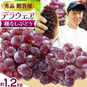 yӂ邳Ɣ[Łzy2026Ns\zfEFA 1.2kg (ȂԂǂ) kԂǂ_s2026N6{-8{oׁt{ Hgs Ԃǂ ʕ t[c  fU[g