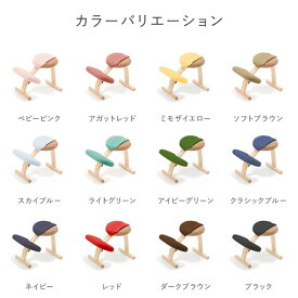 【ふるさと納税】＜カラーをお選びください＞バランスイージー専用はっ水カバー ドットワッフル【 バランスイージー カバー 大阪府 門真市 】