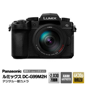 【ふるさと納税】パナソニック デジタルカメラ ルミックス DC-G99M2H【 デジタルカメラ 大阪府 門真市 】 | デジタルカメラ カメラ 趣味 人気 写真 おすすめ 送料無料
