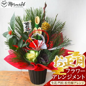 yӂ邳Ɣ[ŁzyNzVt  t[AWgi 叼 |~AWjy Nz s\ NNn   ^s z