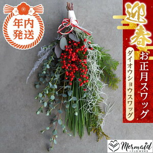 �y�ӂ邳�Ɣ[�Łz�y�N�������z���Ε�ɂ��I�y������ �}�t ���N��z�������X���b�O�@�_�C�I�E�V���E�X���b�O�y �N���z�� ��s�\�� �N���N�n ���� �������� ��^�s �z