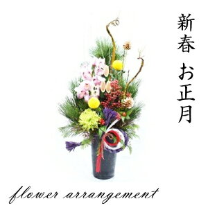 yӂ邳Ɣ[Łzs\񁄐Vt  t[AWgi叼AWj