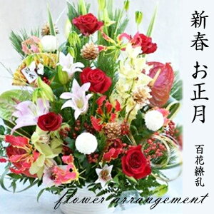 yӂ邳Ɣ[Łzs\񁄐Vt  t[AWgi}tAWS㇗ j