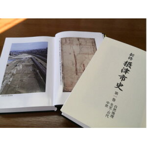 yӂ邳Ɣ[ŁzVCےÎsj1@Rn@jEÑ@y1330984z