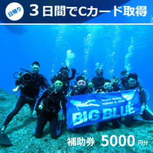 yӂ邳Ɣ[ŁzBIG BLUE@XL[o_CrO@PADI(CJ[hCZX) Ƌ擾⏕5,000~y1489917z