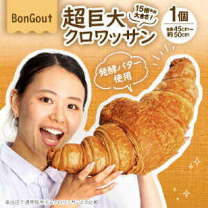 yӂ邳Ɣ[Łz15{̏Ռ!傫@NbT1(S45cm`50cm)yzsnFEkCEꌧEkE֓EBzy1513957z