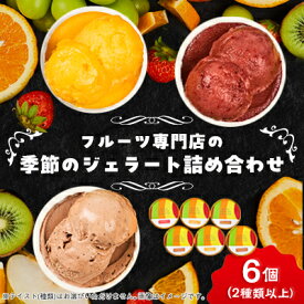 【ふるさと納税】【6個入り】贈答用フルーツで作った季節のジェラート詰め合わせ【配送不可地域：離島】【1524163】