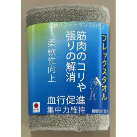 【ふるさと納税】大阪泉州産 フレックスタオル(グレー)【1669230】
