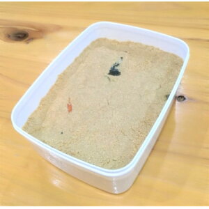 yӂ邳Ɣ[Łzyynzʂ@w̓ʂЂłA񂽂ʂЂ}jAtxyzsnFzy1677869z