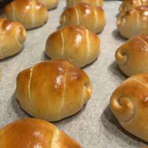 yӂ邳Ɣ[ŁzKanom S`R[g[ 10yzsnFzy1687103z