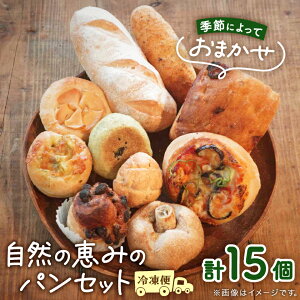 【ふるさと納税】【15個入り】パン屋kotubuの自然の恵みのパンセット(大)_ パン 自家製天然酵母 天然酵母 15個 セット 詰め合わせ おまかせ 食べ比べ ぱん 朝食 朝 ランチ 昼 おやつ 大阪府 冷