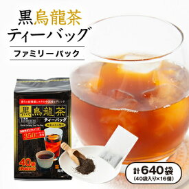 【ふるさと納税】【16個入り】飲みやすさ抜群 日常使い ファミリーパック 黒烏龍茶ティーバッグ 160g(40p)【1607164】