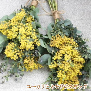 �y�ӂ邳�Ɣ[�ŁzNo.180 ���N�l�C�I�t���^��ł��郆�[�J���ƃ~���U�̃X���b�O �^ �� �C���e���A ���� �������� ���{