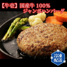 【ふるさと納税】No.196 【牛壱】国産牛100％ジャンボハンバーグ3個　300g×3個 ／ 挽肉 自家製タレ 送料無料 大阪府